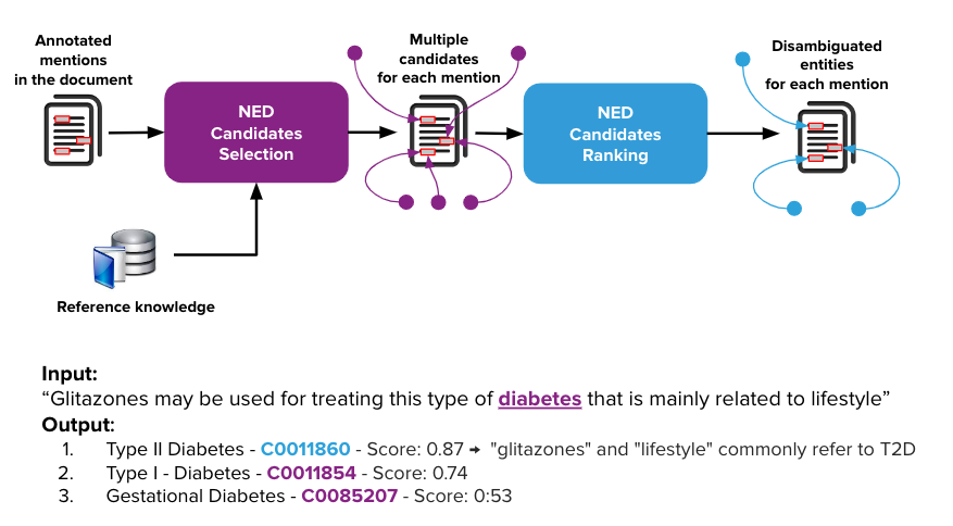 Figure 1 - Architecture of a NED System