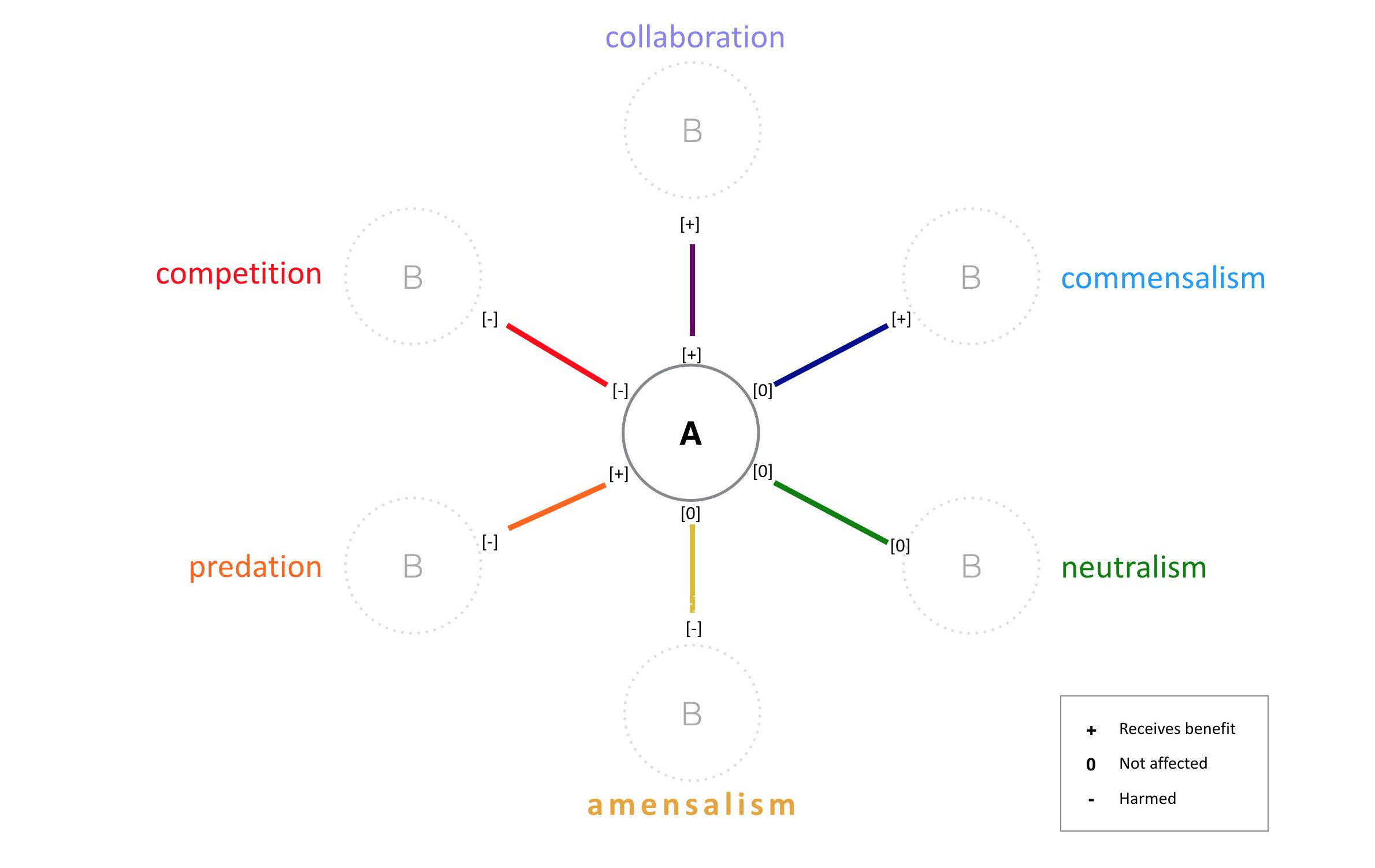 Types of interaction between organism A and organism B